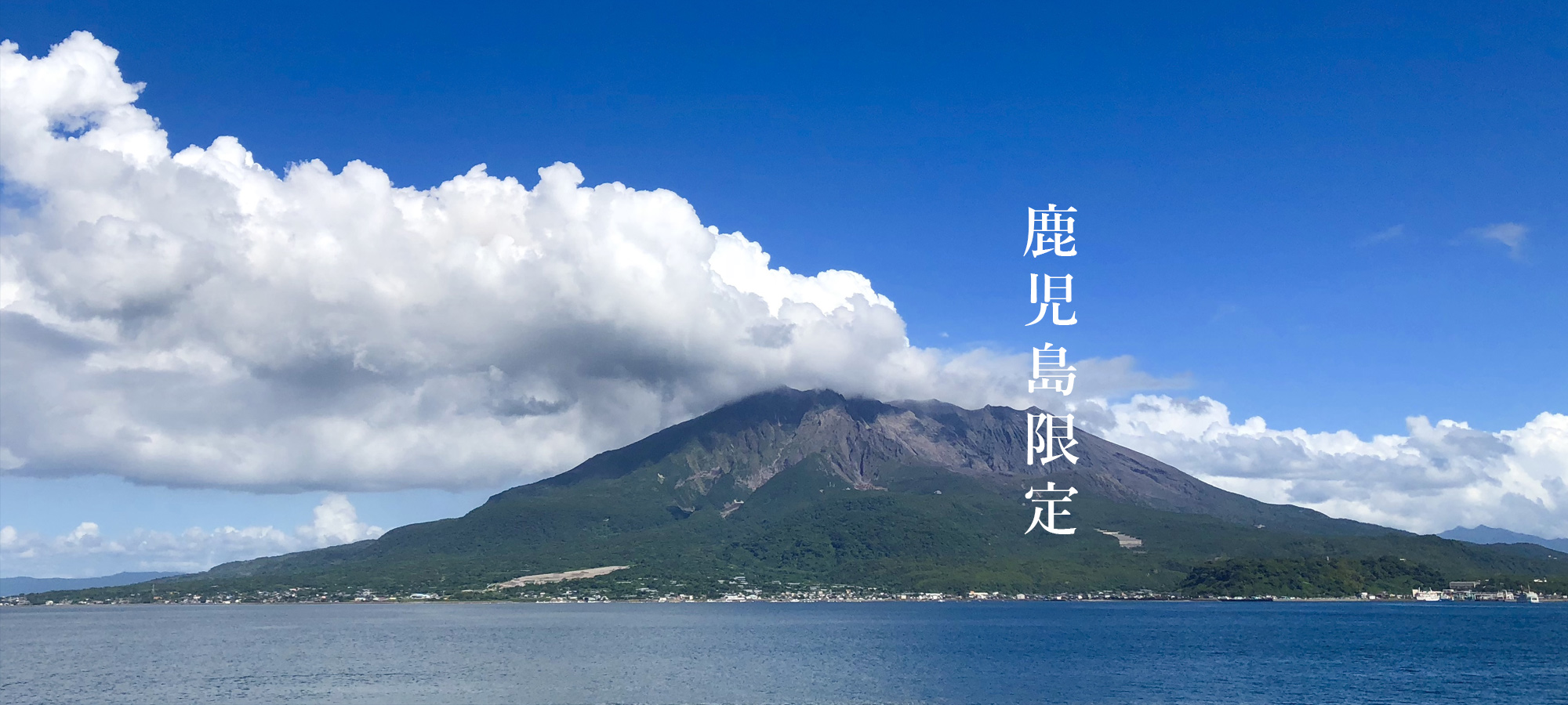 鹿児島限定焼酎